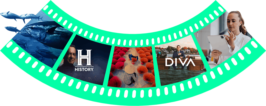 History Diva
